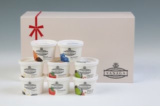 木製アイスクリームメーカーアート（レア） スーパープレミアムアイスクリーム VANAGA 8個入り｜木次乳業