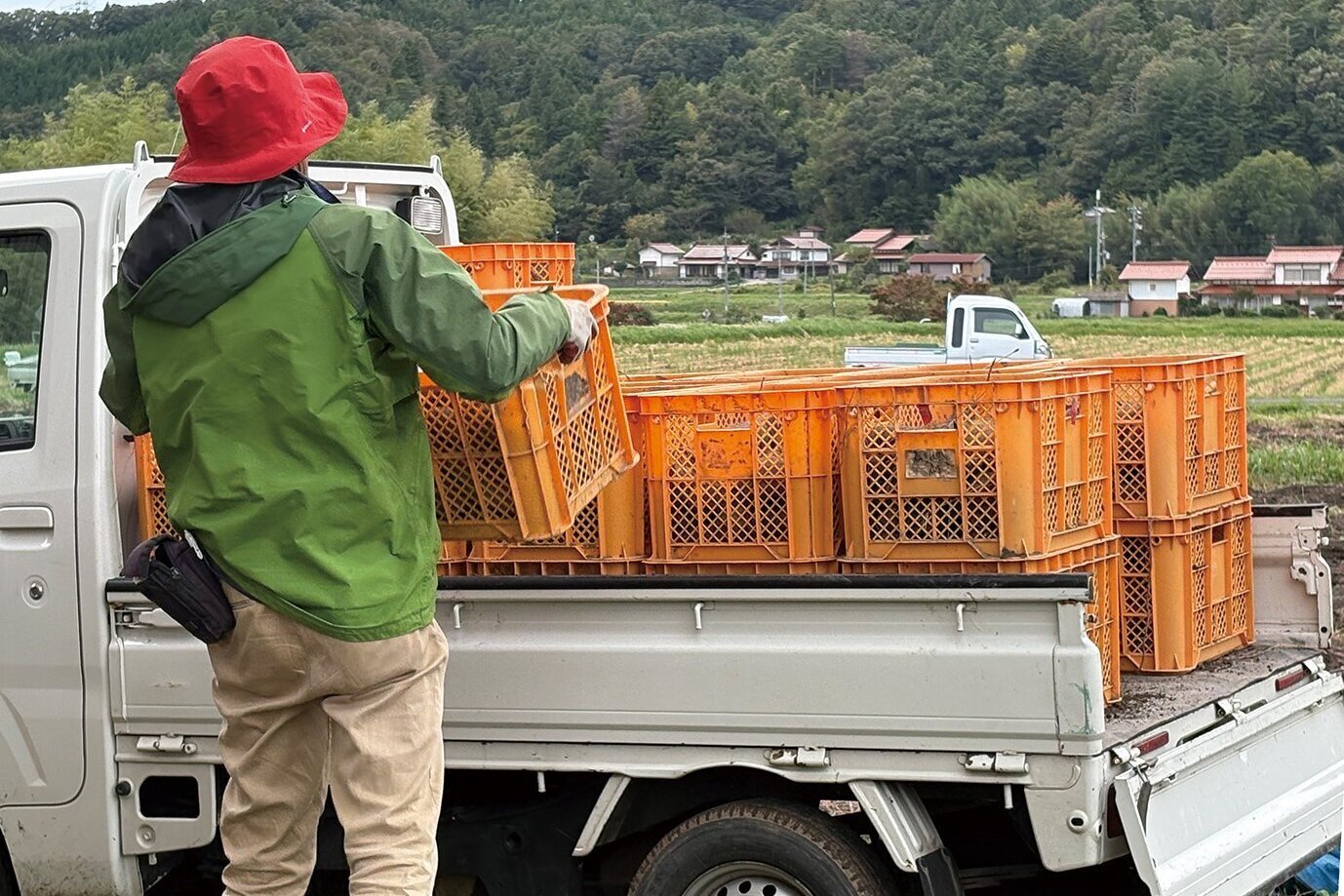 収穫後の積み込み