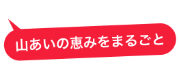 お客様のコメント